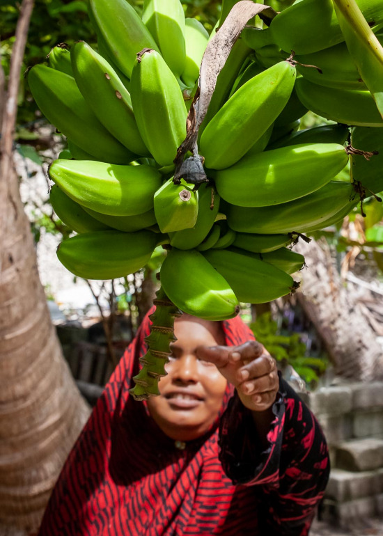 island photography Maldives
