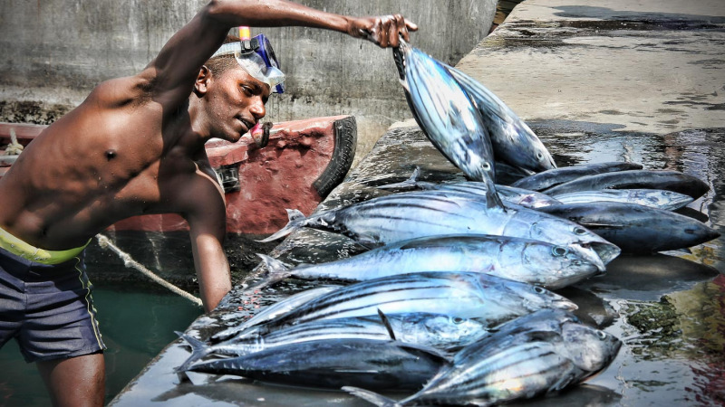 photography & webdesign in Maldives