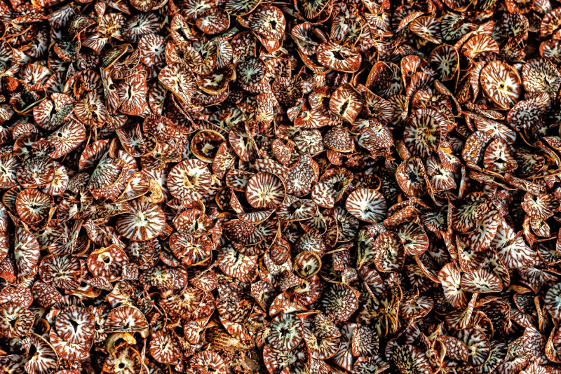 photography & webdesign in Maldives